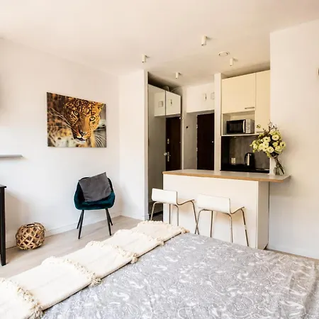 Apartment Piotrapartments - Central Warsaw - Walk Everywhere In Central Warsaw